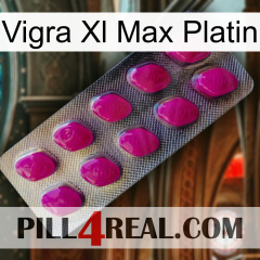 Vigra Xl Max Platinum 09